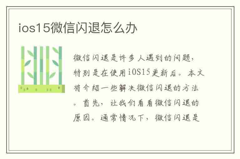 ios15微信闪退怎么办(ios15微信闪退解决办法)